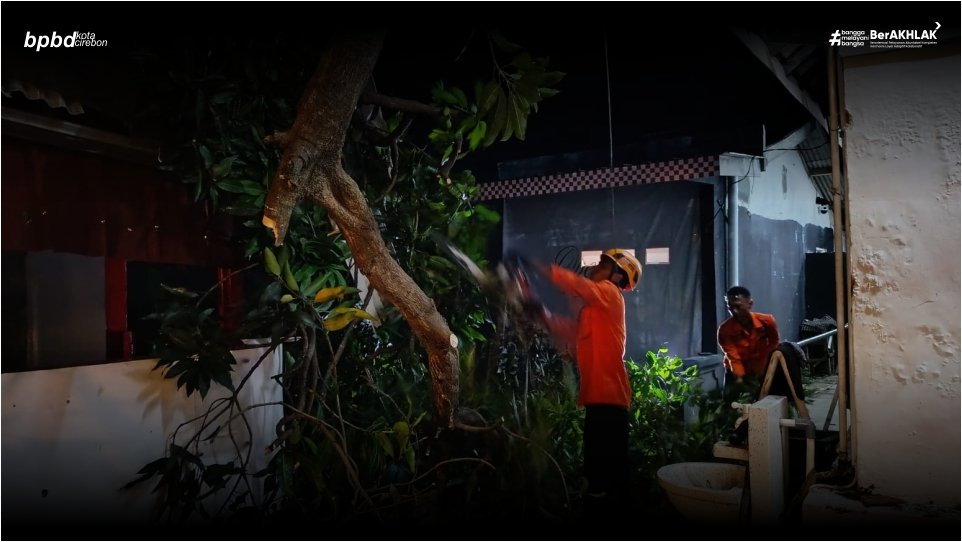 SATU MALAM DUA TITIK POHON TUMBANG DI KOTA CIREBON, TIMPA BANGUNAN HINGGA TUTUP JALAN