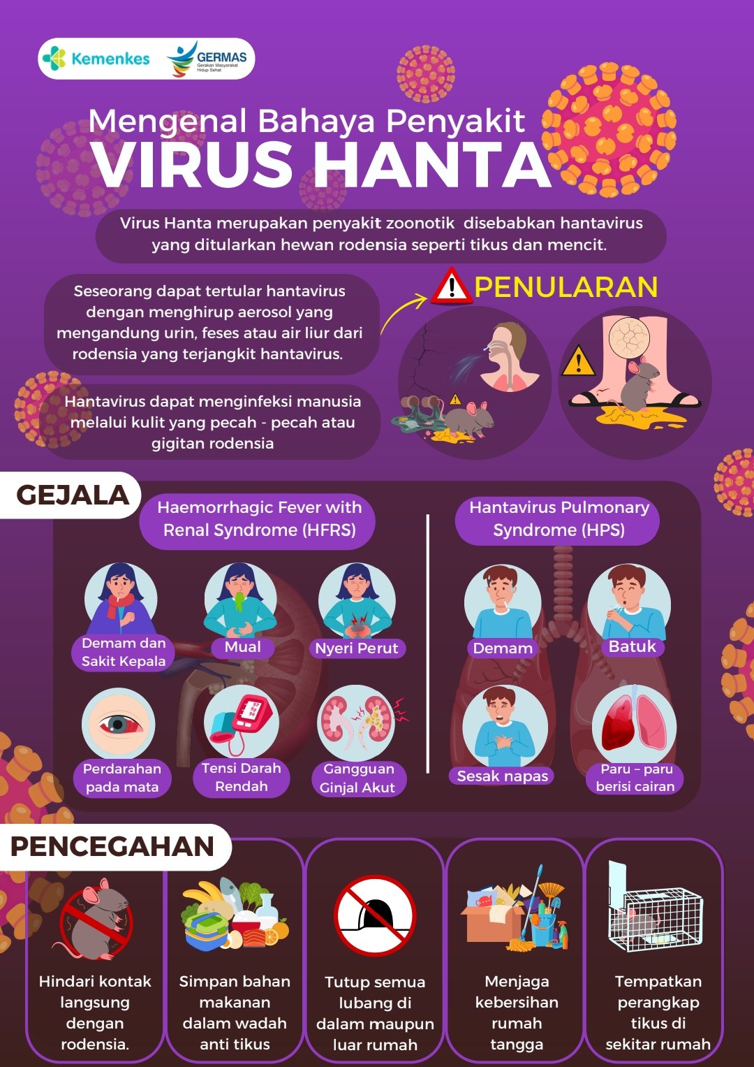Waspada Hanta Virus